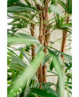 Nahaufnahme der künstlichen Lady-Palme 210 cm mit den grünen, langen, schmalen Blättern und den flauschigen braunen Stielen vor einem sanft verschwommenen, hellen Hintergrund.
