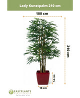 Kunstpalme Lady 210 cm: Diese beeindruckend realistische künstliche Rhapispalme ist 210 cm hoch und 100 cm breit in einem auffälligen roten Topf (14 cm hoch, 18 cm breit) – eine perfekte Wahl für stilvolle Innenräume.