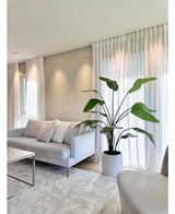 Ein modernes Wohnzimmer mit einem hellgrauen Sofa, weißen Kissen, der Kunstpflanze Strelitzia Real Touch fertig konfektioniert in einem beigen Topf 180 cm, transparenten weißen Vorhängen, einem beigen Teppich und sanftem natürlichem Licht, das durch die Fenster fällt.