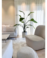 Helles, modernes Wohnzimmer mit weißem Sofa, rundem Sessel und Ottomane. Eine 180 cm große Kunstpflanze Strelitzia Real Touch fertig konfektioniert in einem beigen Topf steht neben transparenten Vorhängen. Gemütliches, neutrales Dekor mit einem weichen Teppich und Kissen runden den Look ab.