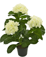Synthetische Hortensie Weiß 35 cm