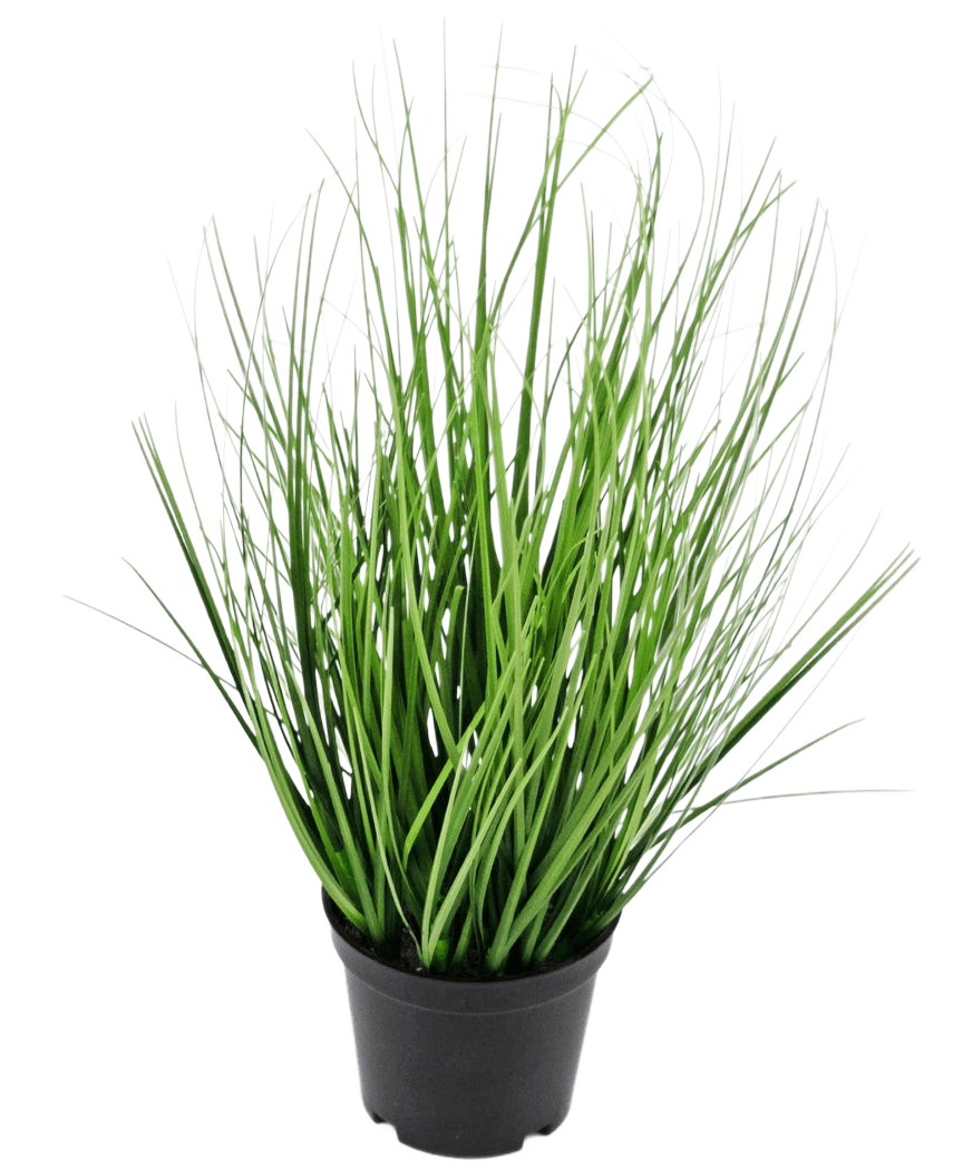 Die Kunstrasenpflanze Zwiebel 33 cm (feuerhemmend) hat lange, dünne, grüne, grasähnliche Blätter in einem kleinen schwarzen Topf vor einem schlichten weißen Hintergrund.