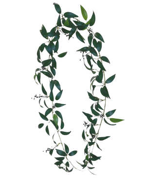 Die künstliche Smilax-Girlande 180 cm ist ein Kranz in Form des Buchstabens O, bestehend aus langen grünen Blattzweigen mit kleinen Büscheln dunkler Beeren vor einem schlichten weißen Hintergrund.