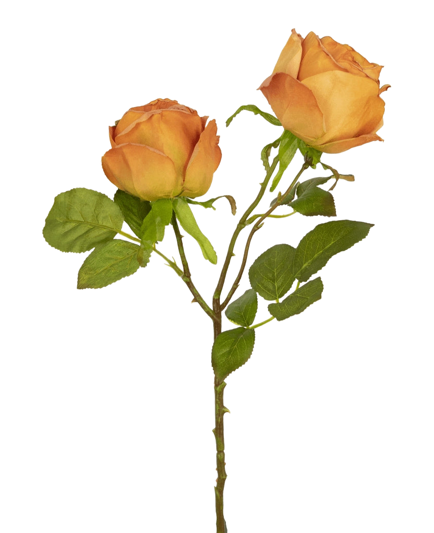 Die künstliche Rose Deluxe 55 cm Pfirsich hat zwei pfirsichfarbene Kunstrosen an einem Stiel mit grünen Blättern, ideal für die Blumendekoration oder als elegante Kunstblumen aus Seide.