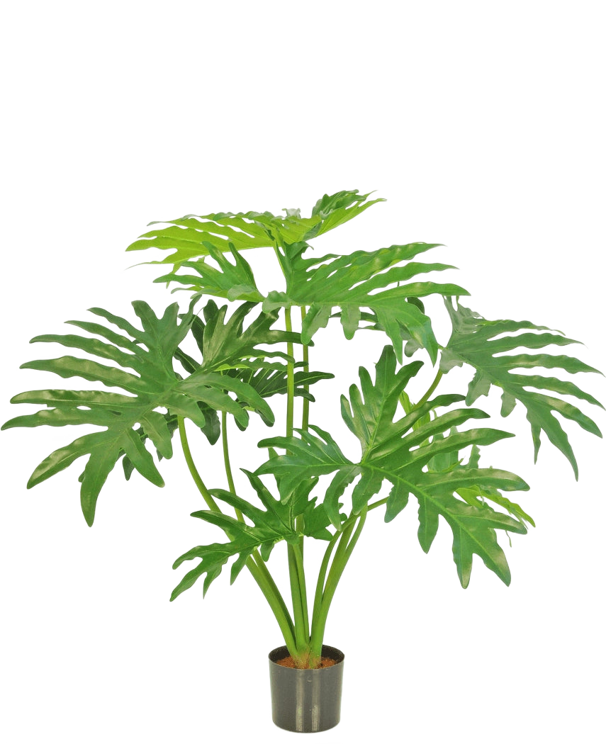 Die Kunstpflanze Philodendron 80 cm ist eine Kunstpflanze mit großen, geteilten grünen Blättern in einem kleinen schwarzen Topf, dargestellt vor einem schlichten weißen Hintergrund.