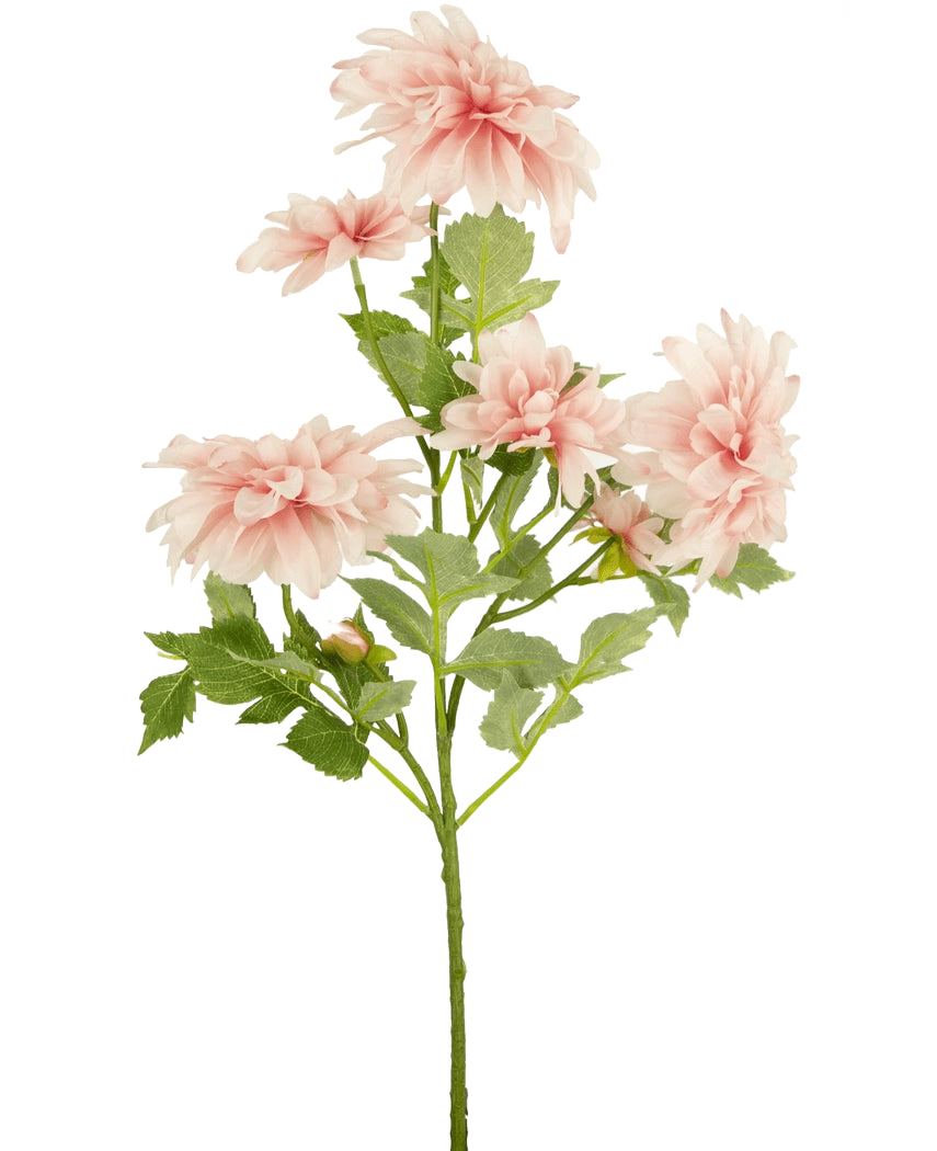 Die künstliche Blumen-Dahlie 68 cm rosa hat einen einzelnen grünen Stiel mit mehreren hellrosa Dahlienblüten und grünen Blättern vor einem schlichten weißen Hintergrund.
