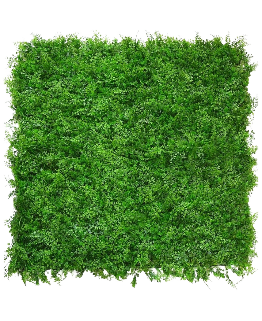 Der künstliche Heckenfarn/Nadelbaum 50x50 cm ist eine dichte, quadratische Matte aus leuchtend grünem Laub mit kleinen Blättchen, die von oben auf einem weißen Hintergrund betrachtet einer üppigen, natürlichen grünen Hecke mit einer gleichmäßigen, strukturierten Oberfläche ähnelt.