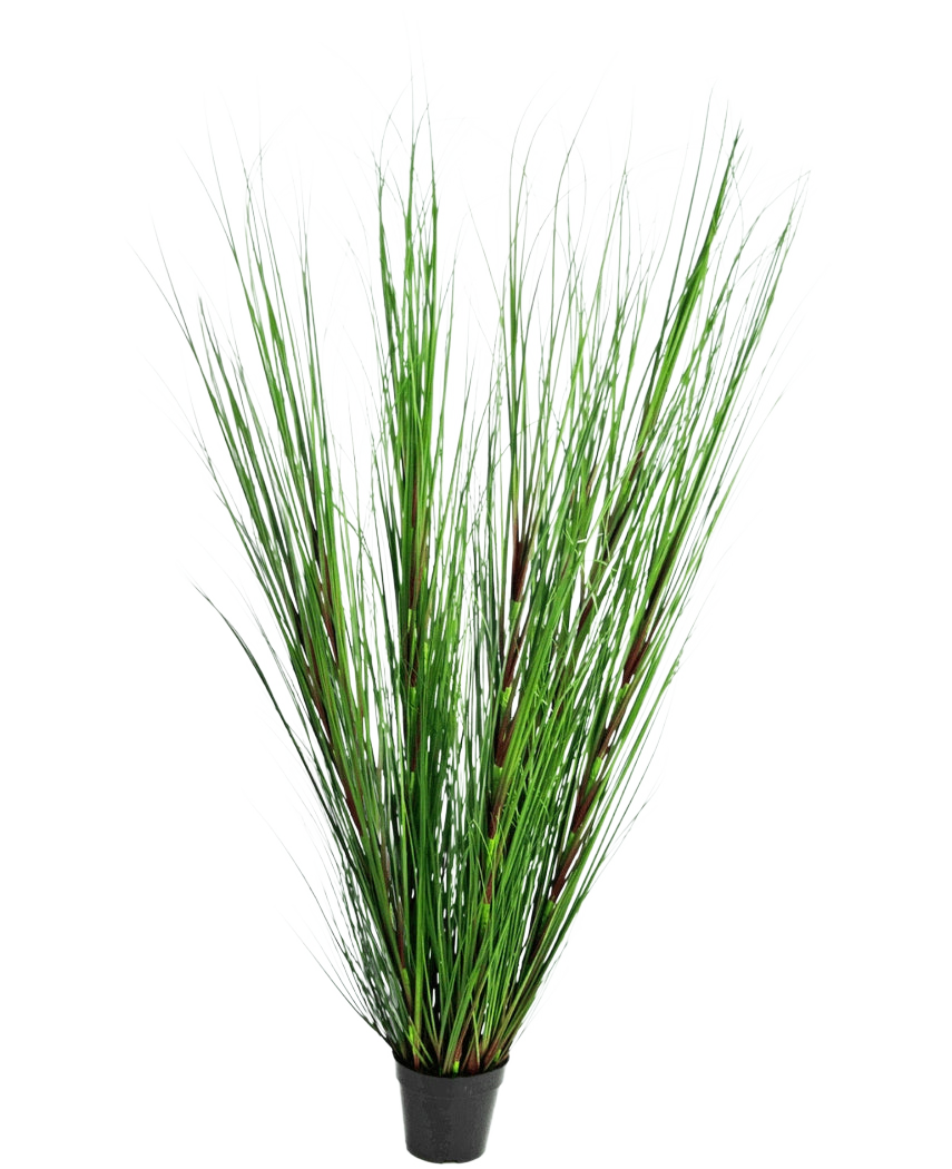 Die feuerhemmende Kunstrasenpflanze Zwiebel 150 cm hat lange, dünne, aufrechte grüne grasähnliche Blätter und lange Stängel vor einem schlichten weißen Hintergrund.