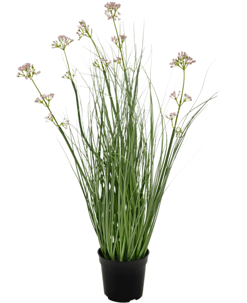 Das feuerhemmende Kunstrasen-Lauchblüten-Zwiebelgras-Bonsai 61 cm hat lange, schlanke grüne Blätter und lange Stiele mit kleinen Büscheln hellvioletter Blüten, präsentiert in einem Topf vor einem schlichten weißen Hintergrund.