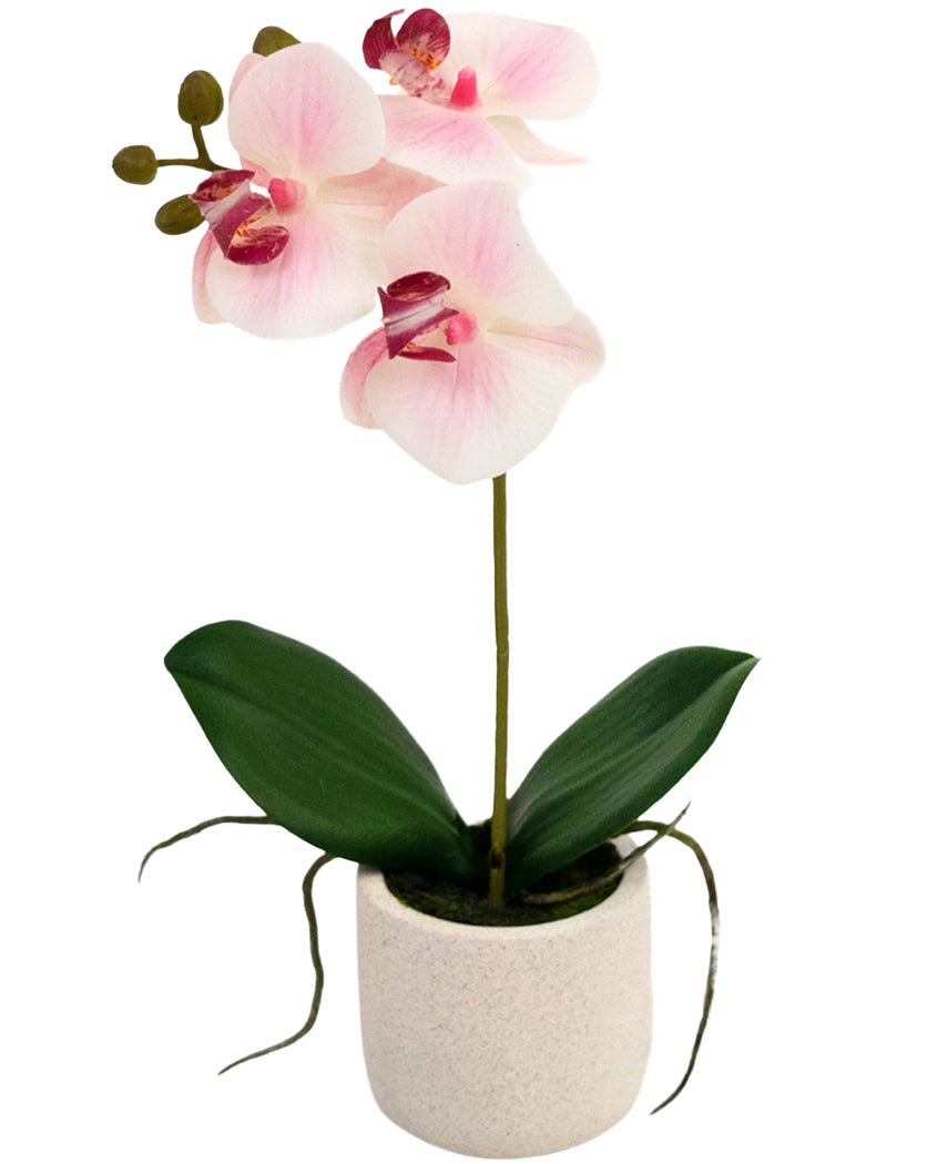 Die künstliche Orchidee Real Touch 30 cm rosa/weiß hat drei hellrosa Blüten und grüne Blätter in einem schlichten weißen Topf, perfekt, um jeden Raum aufzuhellen.