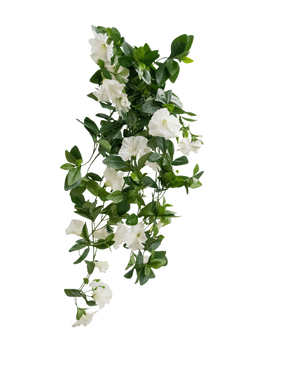 Die künstliche Hängepflanze Petunia 70 cm weiß hat grüne Blätter und weiße trompetenförmige Blüten in einem weinartigen Design vor einem schlichten weißen Hintergrund.