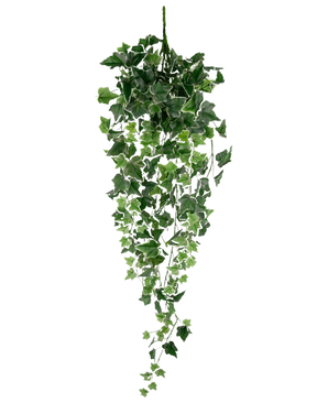Der künstliche Efeu 70 cm grün/weiß ist eine hängende künstliche Efeupflanze mit üppig grünen und weißen kaskadierenden Blättern an langen Stielen vor einem schlichten weißen Hintergrund.