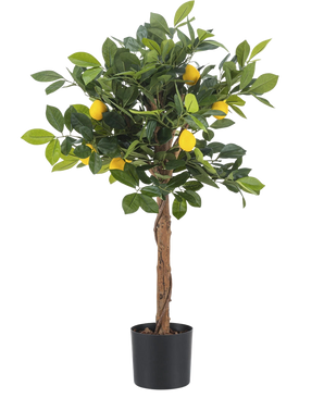 Der künstliche Zitronenbaum 75 cm ist ein kleiner künstlicher Zitronenbaum mit braunem Stamm, grünen Blättern und mehreren gelben künstlichen Zitronen vor einem schlichten weißen Hintergrund.
