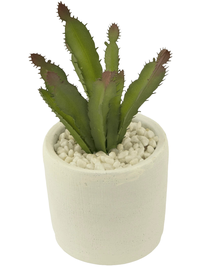 Die künstliche Sukkulente 20 cm ist eine grüne, stachelige Sukkulente mit rötlichen Spitzen in einem weißen Keramiktopf voller weißer Kieselsteine, dargestellt vor einem schlichten weißen Hintergrund.
