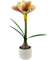 Die Kunstblume Amaryllis Real Touch Rot/Gelb 48 cm hat naturgetreue grüne Blätter und einen hohen Stiel mit trompetenförmigen roten und gelben Blüten, die vor einem weißen Hintergrund wunderschön präsentiert werden.