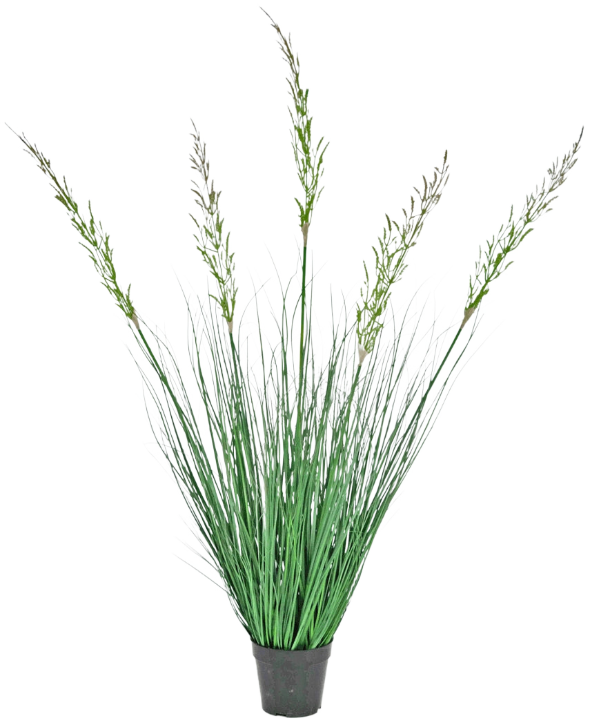 Die feuerhemmende Kunstrasenpflanze Weizen 120 cm im Topf hat hohe, aufrechte Blätter und blühende Stängel und eignet sich daher ideal für einen grünen Innenraum. Diese wartungsfreie Pflanze sorgt für stilvolles Grün vor einem weißen Hintergrund.