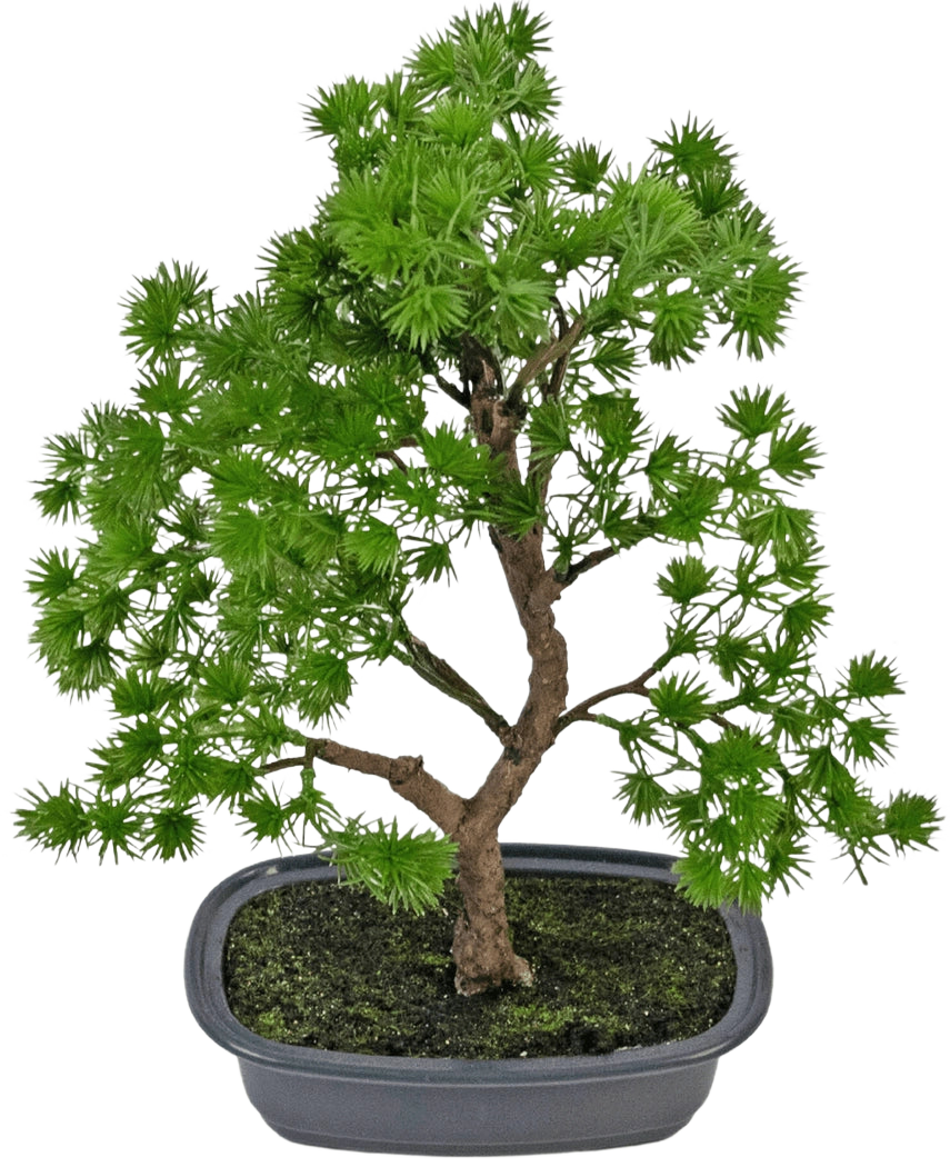 Die Kunstpflanze Bonsai Wacholder 30 cm hat dichte hellgrüne Blätter und einen gedrehten Stamm, in einem flachen grauen Topf mit dunkler Erde, vor einem schlichten weißen Hintergrund.