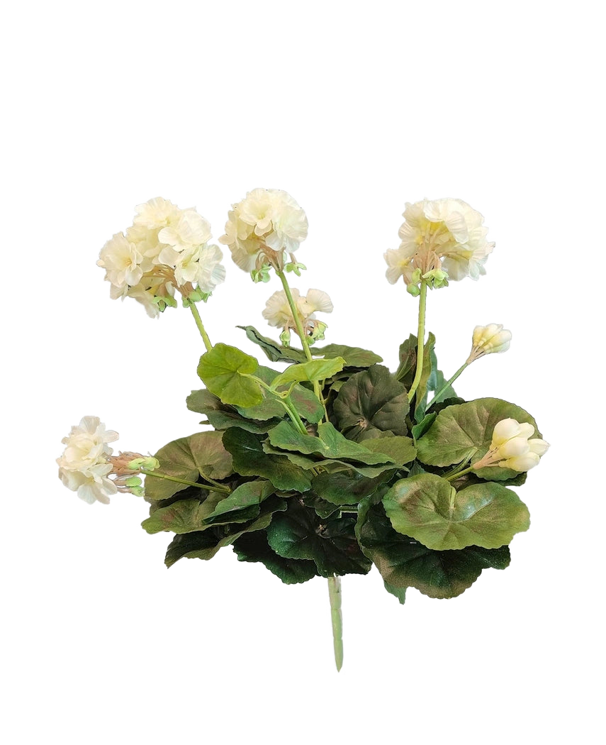 Die künstliche Geranie 40 cm weiß hat lebensechte weiße Blüten und üppig grüne Blätter – perfekt, um Ihrer Kunstpflanzen- oder Kunstblumensammlung zeitlose Eleganz zu verleihen.