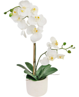 Die künstliche Orchidee Real Touch 60 cm weiß hat zarte weiße Blüten, grüne Knospen und breite grüne Blätter, die von einem dünnen Stab in einem kleinen weißen Topf getragen werden.