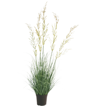 Die feuerhemmende Kunstrasenpflanze Weizen 90 cm hebt sich mit ihren schlanken grünen Blättern und den langen gelblichen Blütenrispen wunderschön von einem weißen Hintergrund ab – ideal unter den Kunstpflanzen für Haus und Garten.