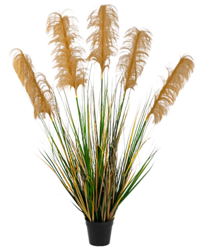 Das feuerhemmende künstliche Pampasgras 120 cm hat hohe grüne und gelbe grasähnliche Blätter mit flauschigen braunen Federn. Diese elegante, feuerhemmende Kunstpflanze verleiht jeder Sammlung künstlicher Pflanzen vor einem weißen Hintergrund Eleganz.