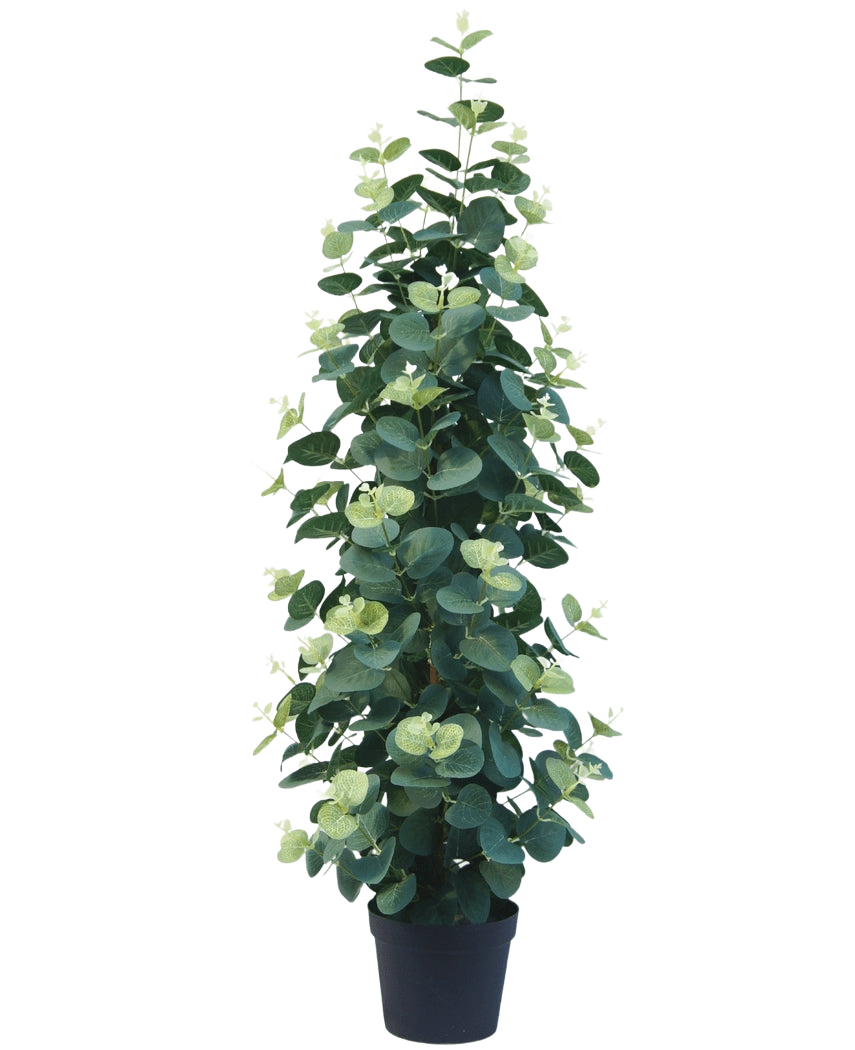 Die Kunstpflanze Eukalyptus 76 cm ist eine hohe, üppige künstliche Eukalyptuspflanze mit runden grünen Blättern in einem schwarzen Topf vor einem schlichten weißen Hintergrund.