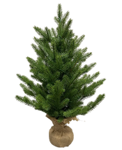 Mini-Weihnachtsbäume