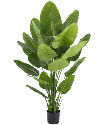 Strelitzie Kunstpflanze