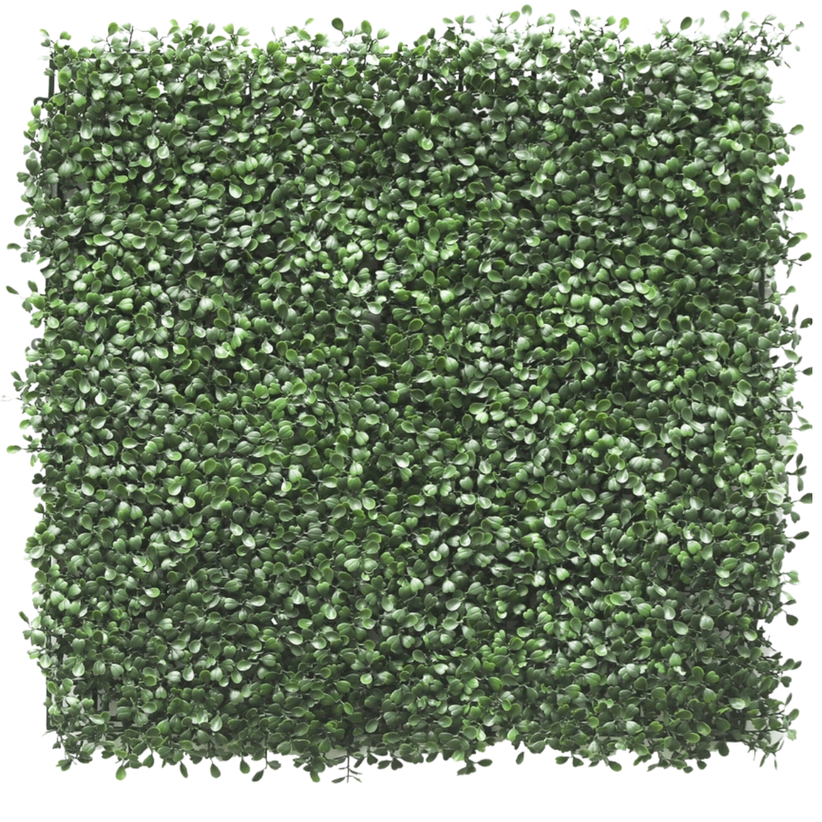 Künstliche Hecke Buxus