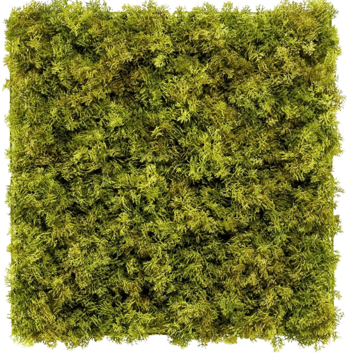 Künstliche Hecke Moos