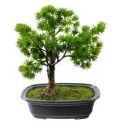 Künstlicher Bonsai