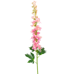 Künstliche Rittersporn