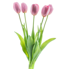 Künstliche Tulpen