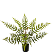 Künstliche Farne