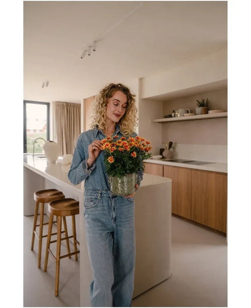 Eine Frau mit lockigen blonden Haaren, die ein Jeanshemd und Jeans trägt, steht in einer modernen Küche und hält in ihren Händen eine künstliche Gänseblümchen-UV-Pflanze von 31 cm mit leuchtend orangefarbenen Blüten. Neben ihr stehen zwei Holzhocker auf der Kücheninsel.