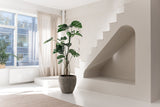 Minimalistischer, sonnendurchfluteter Raum mit großen Fenstern, einer künstlichen Pflanze Monstera 210 cm, beigem Teppich, einzigartiger weißer Treppe mit einer gewölbten Nische darunter. Lichtvorhänge und eine Pflanze auf der Fensterbank runden den ruhigen Raum ab.