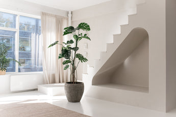 Minimalistischer, sonnendurchfluteter Raum mit großen Fenstern, einer künstlichen Pflanze Monstera 210 cm, beigem Teppich, einzigartiger weißer Treppe mit einer gewölbten Nische darunter. Lichtvorhänge und eine Pflanze auf der Fensterbank runden den ruhigen Raum ab.