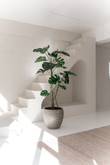 Die Kunstpflanze Monstera 210 cm mit breiten grünen Blättern steht auf einem weißen Boden in einem hellen, minimalistischen Raum mit weißen Wänden, einer Treppe und natürlichem Sonnenlicht.