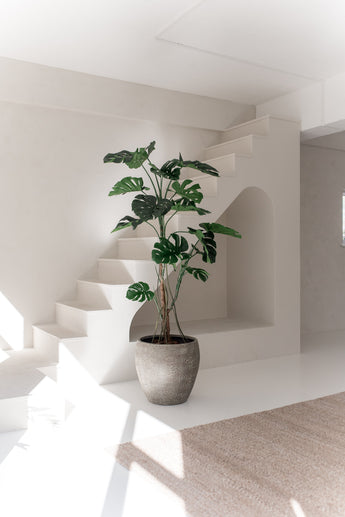 Die Kunstpflanze Monstera 210 cm mit breiten grünen Blättern steht auf einem weißen Boden in einem hellen, minimalistischen Raum mit weißen Wänden, einer Treppe und natürlichem Sonnenlicht.