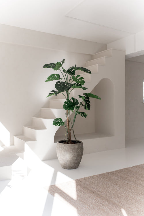 Die Kunstpflanze Monstera 210 cm mit breiten grünen Blättern steht auf einem weißen Boden in einem hellen, minimalistischen Raum mit weißen Wänden, einer Treppe und natürlichem Sonnenlicht.