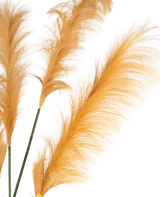 Drie goudoranje Kunst Pampasgras 150 cm brandvertragende stelen tonen vederlichte pluimen tegen een witte achtergrond. Zachte, delicate texturen worden prachtig versterkt door de verlichting.