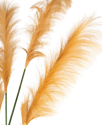Drie goudoranje Kunst Pampasgras 150 cm brandvertragende stelen tonen vederlichte pluimen tegen een witte achtergrond. Zachte, delicate texturen worden prachtig versterkt door de verlichting.