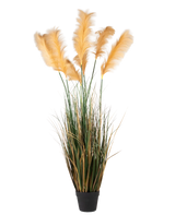 Een zwarte pot bevat Kunst Pampasgras 150 cm brandvertragend, met hoge groene kunstgras en geelbruine pluimen gerangschikt voor een natuurlijke decoratieve look.