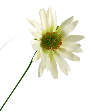 Kunstrasen Chrysantheme Zwiebel Topf 60cm feuerhemmend