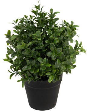 Künstliche Pflanze Murraya 21 cm