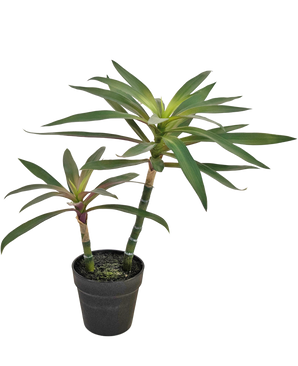 Künstliche Pflanze Yucca gigantea 53 cm