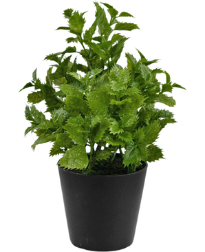 Künstliche Pflanze Perilla 25 cm