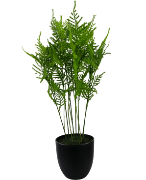 Künstliche Pflanze Spargel 59 cm
