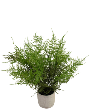 Kunstpflanze Spargel 43 cm im Ziertopf
