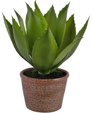 Künstliche Pflanze Agave 25 cm